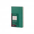 Бележник Moleskine Daily Diary 2017 Large Green, Hardcover [4066]