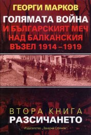 Голямата война и българският меч над Балканския възел Кн.2: Разсичането