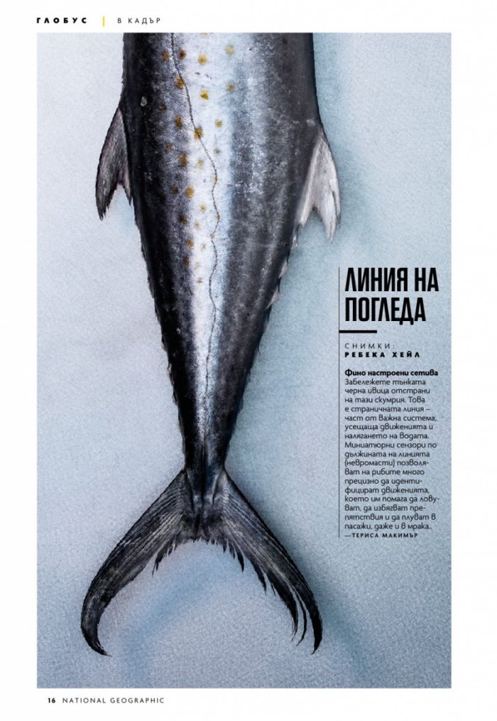 National Geographic България 7/2020