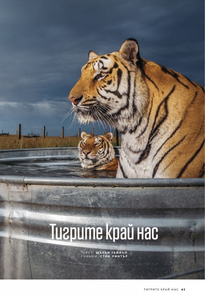 National Geographic България 7/2020