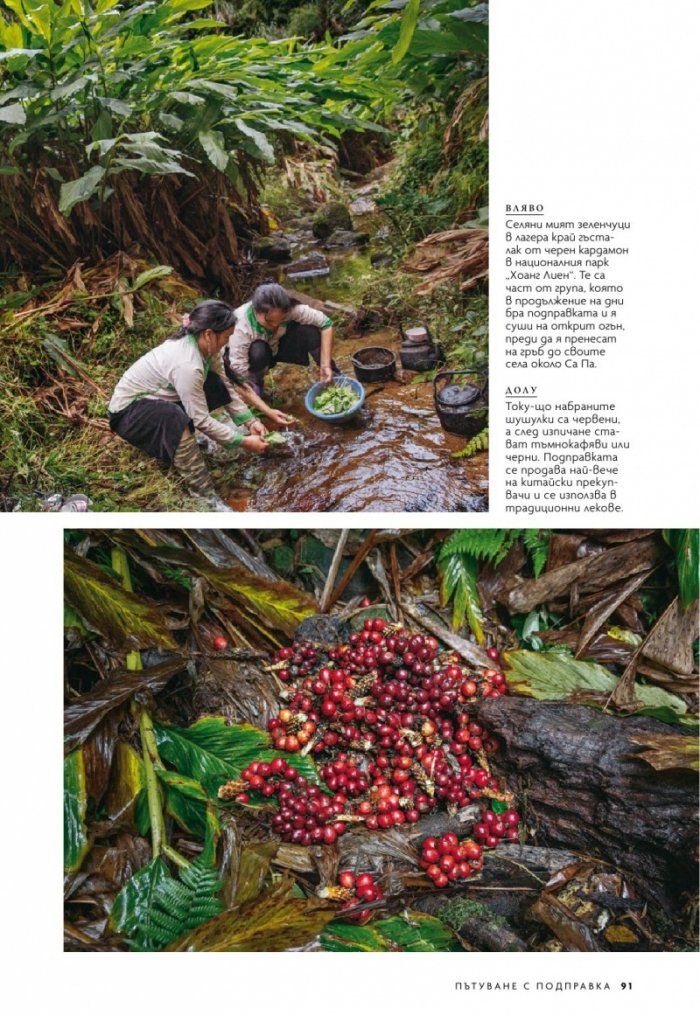 National Geographic България 7/2020