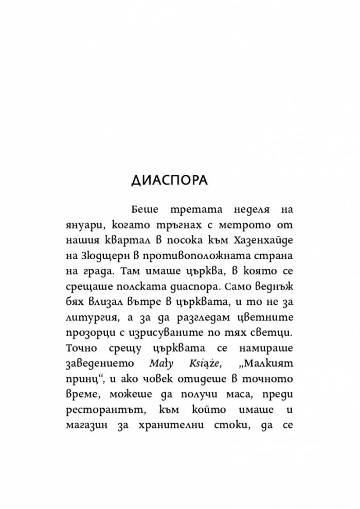 Тъжният гост