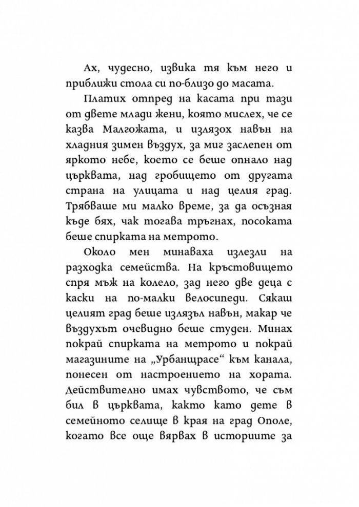 Тъжният гост