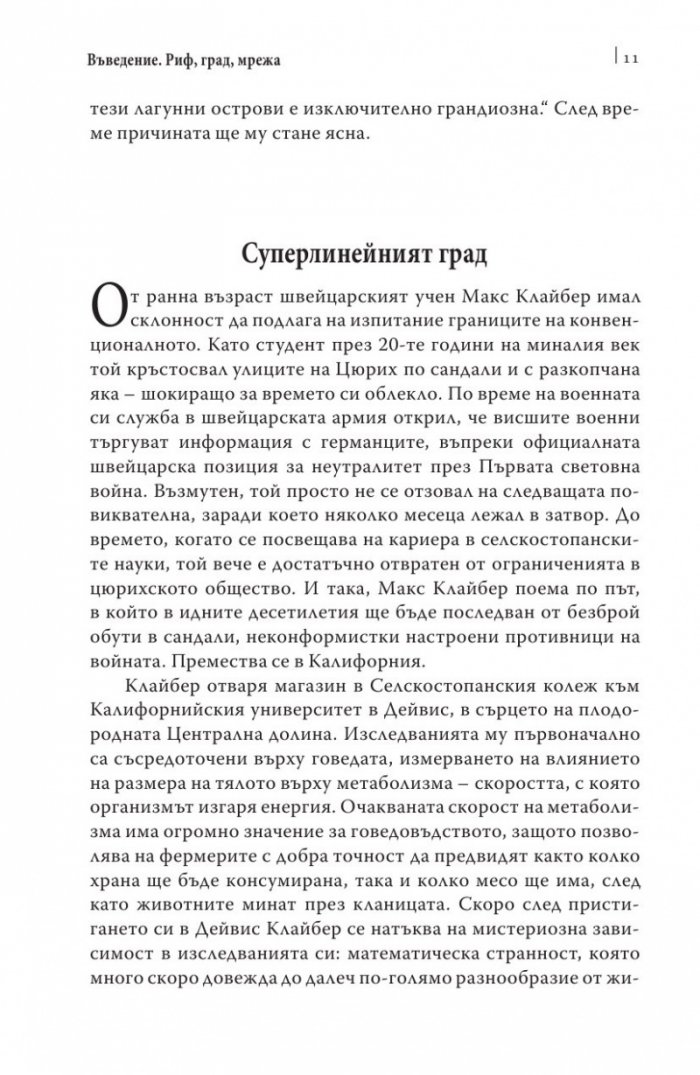 Как се раждат добрите идеи