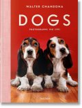 Walter Chandoha. Dogs. Photographs 1941–1991