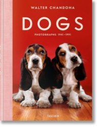 Walter Chandoha. Dogs. Photographs 1941–1991
