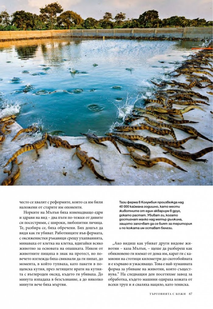National Geographic България 01/2017