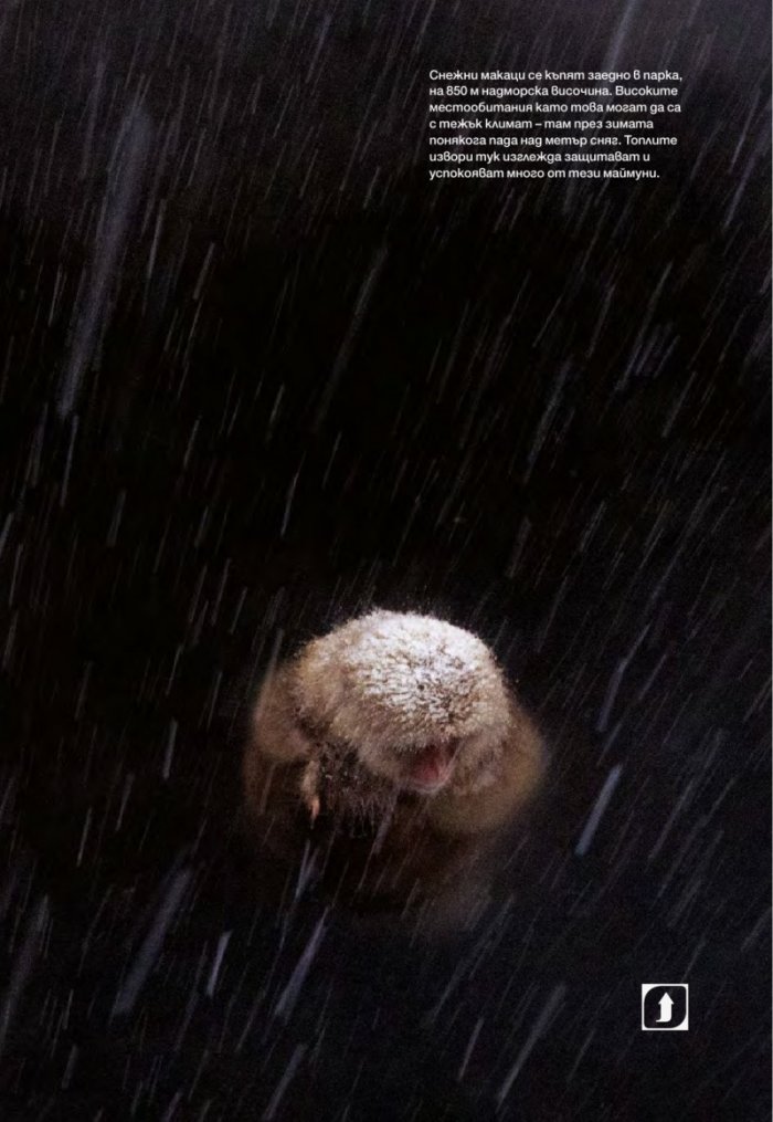 National Geographic България 01/2017