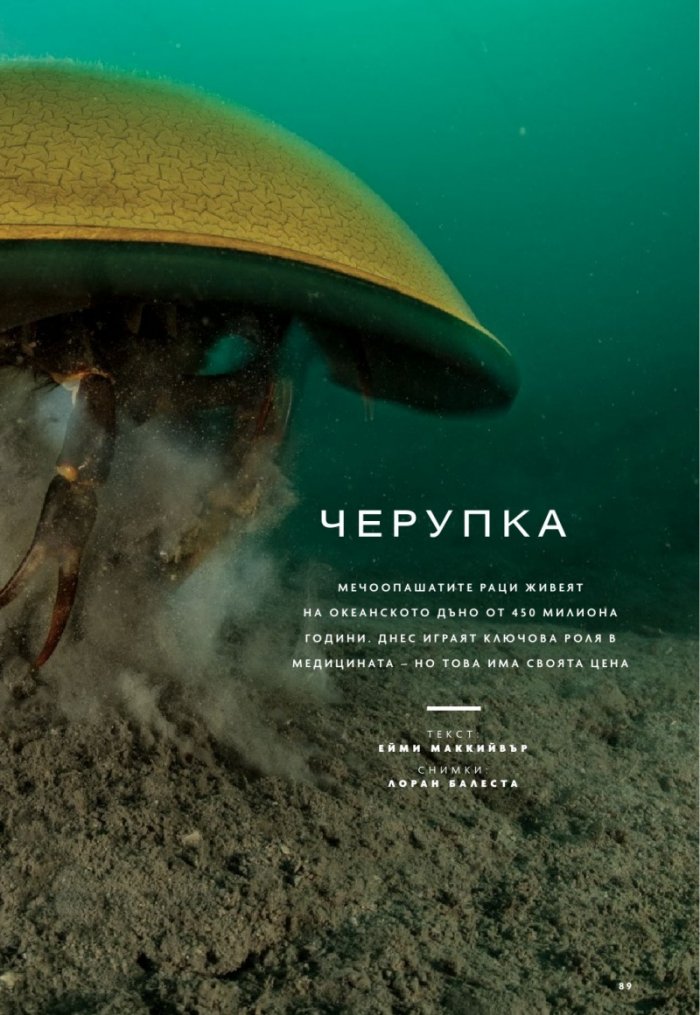 National Geographic България Април/2023