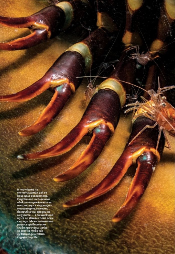National Geographic България Април/2023
