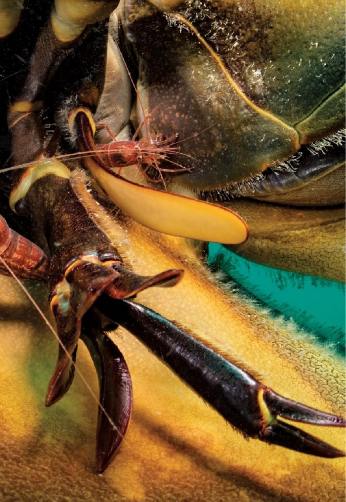 National Geographic България Април/2023