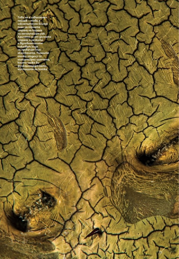National Geographic България Април/2023