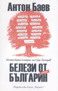 Белези от българин. Роман