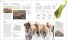 Habitats : Discover Earth's Precious Wild Places