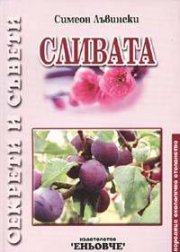 Сливата