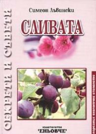Сливата