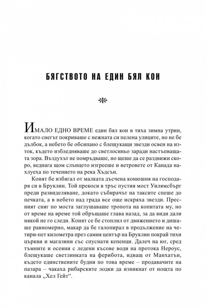 Зимна приказка в Ню Йорк