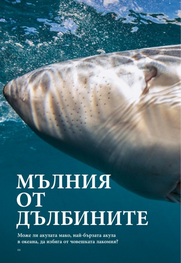 National Geographic България 10/2017