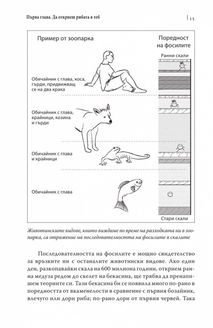 Рибата в мен