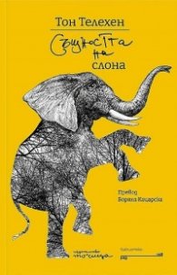 Същността на слона