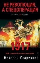 Не революция, а спецоперация
