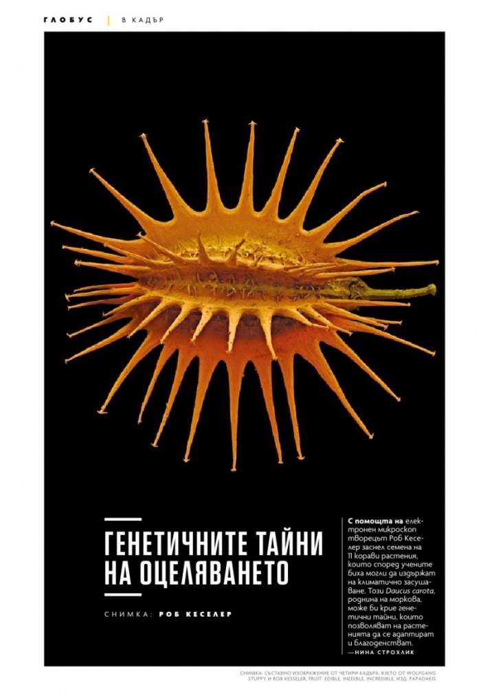 National Geographic България 10/2020