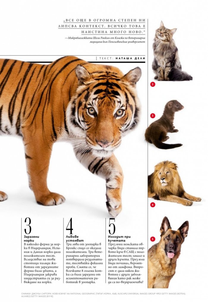 National Geographic България 10/2020