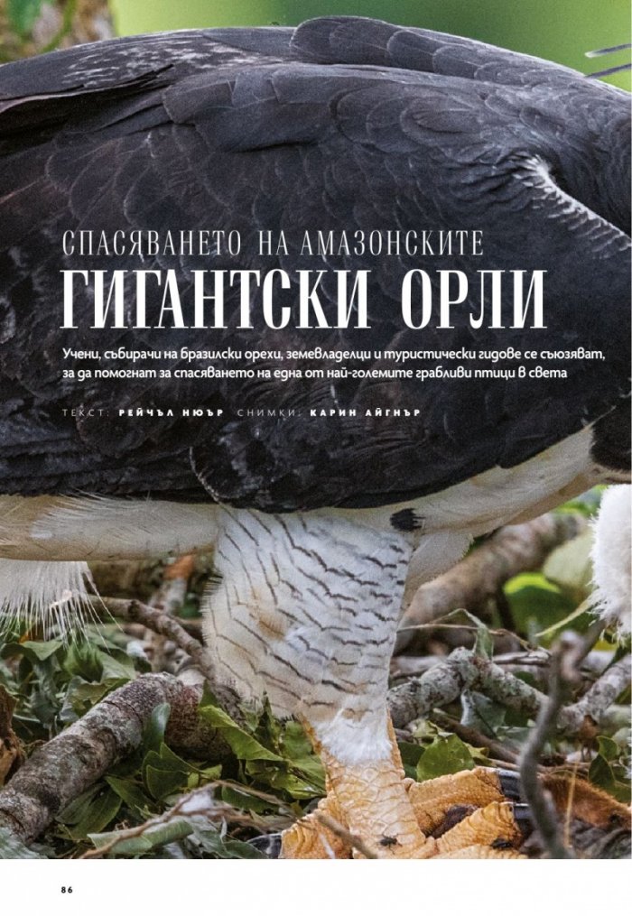 National Geographic България 10/2020