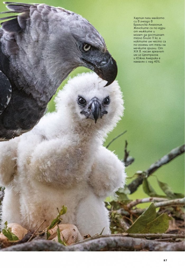 National Geographic България 10/2020