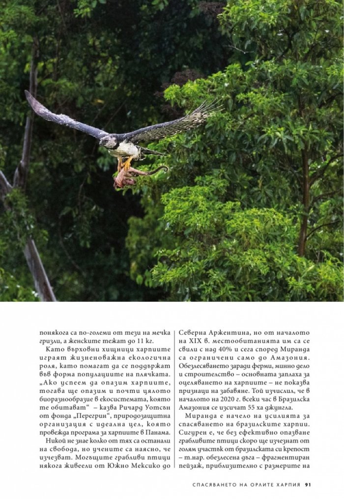 National Geographic България 10/2020