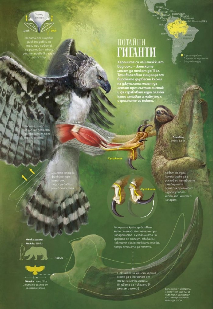 National Geographic България 10/2020