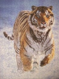 Пъзел 500 ч. Тигър 144754