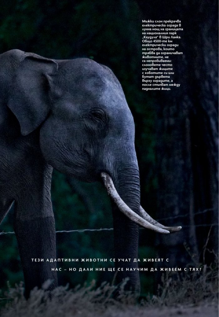  National Geographic България Юни/2023