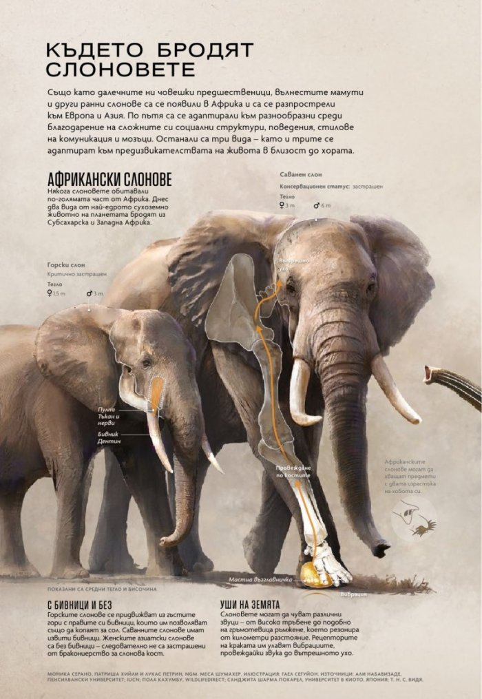  National Geographic България Юни/2023