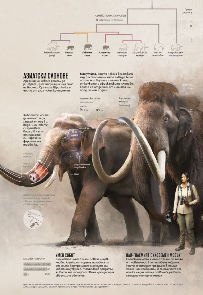  National Geographic България Юни/2023