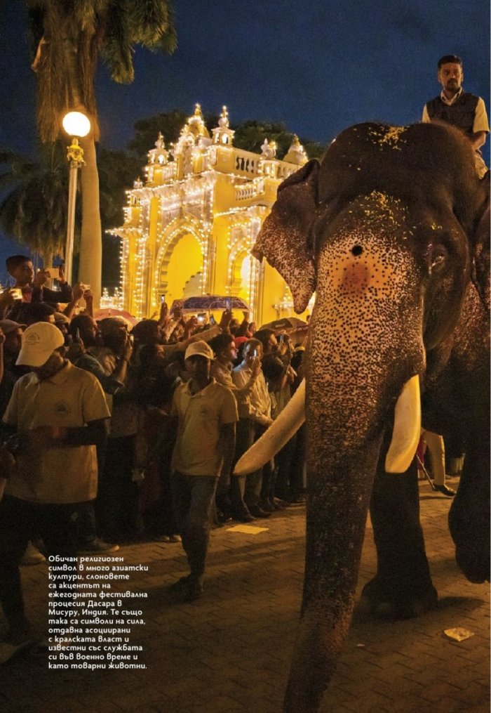  National Geographic България Юни/2023