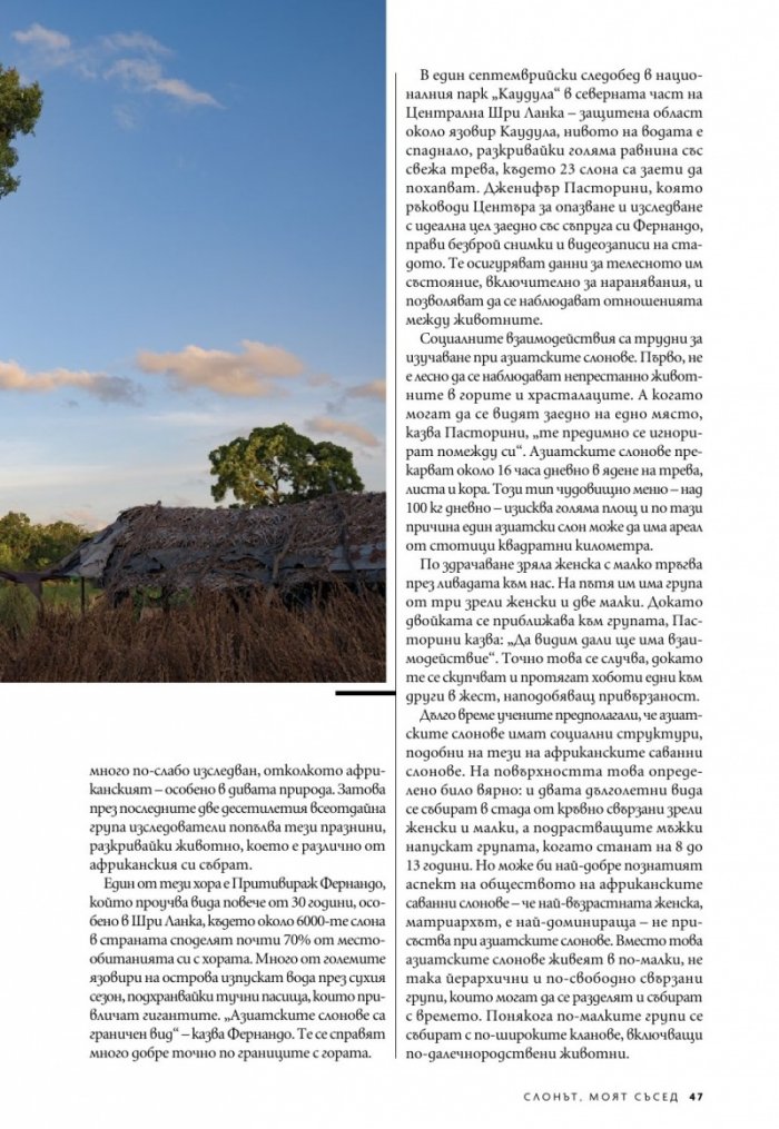 National Geographic България Юни/2023