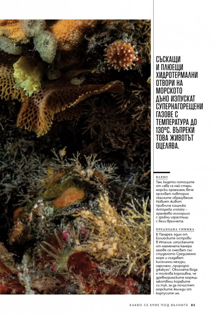  National Geographic България Юни/2023