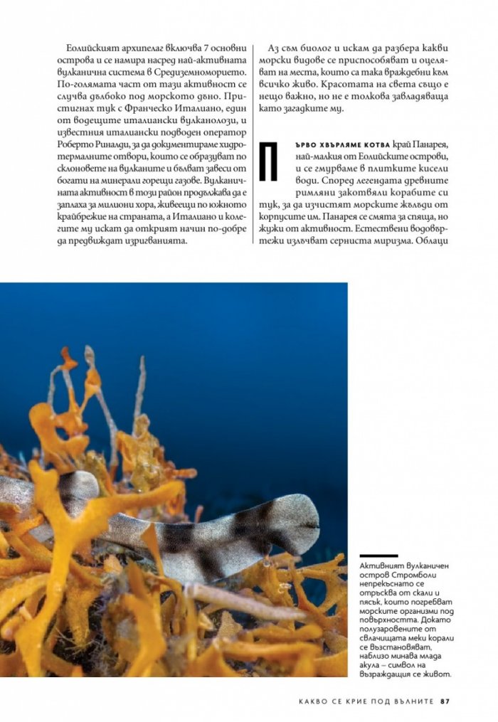  National Geographic България Юни/2023
