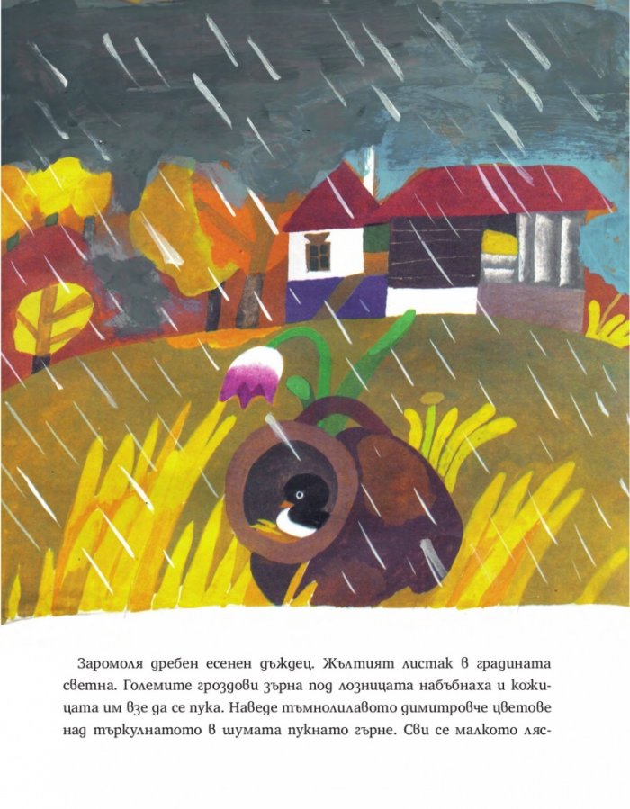 Майчина сълза