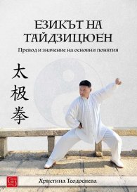 Езикът на тайдзицюен