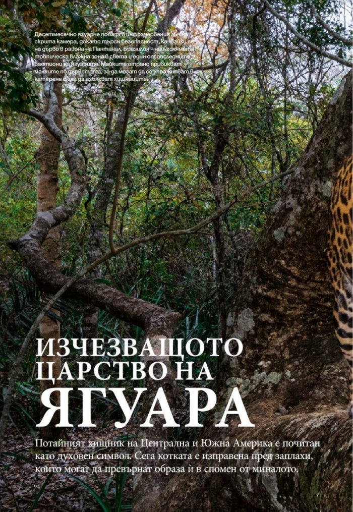 National Geographic България 12/2017