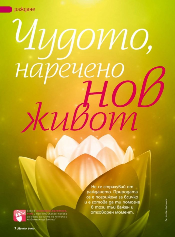 Моето дете; Бр. 3/2013