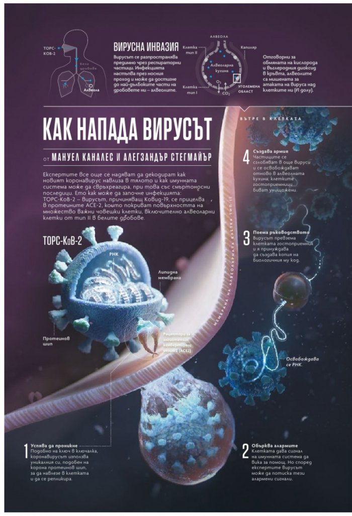 National Geographic България 11/2020