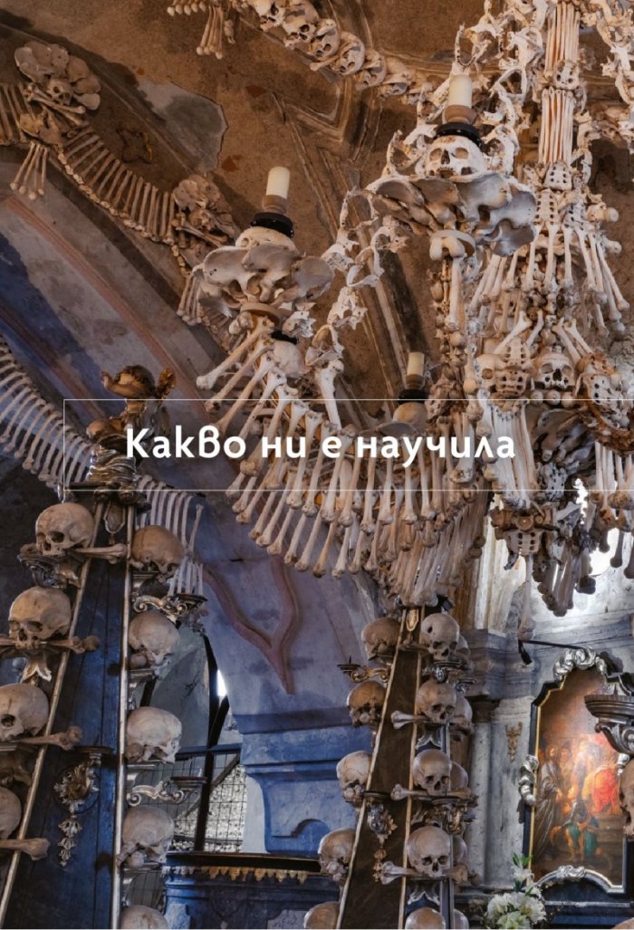 National Geographic България 11/2020