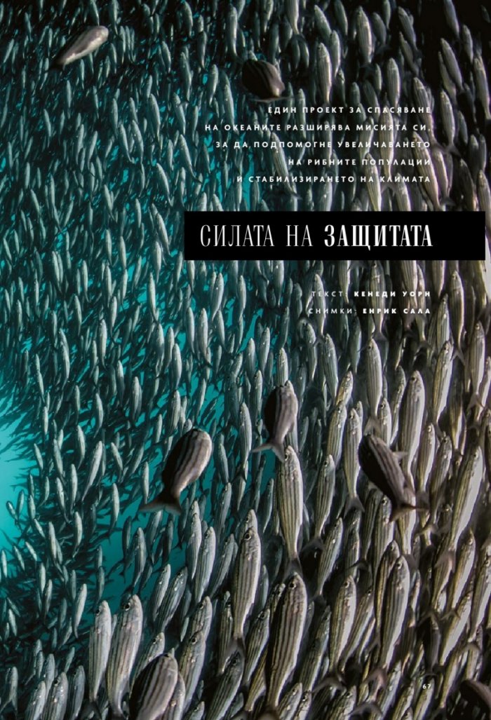 National Geographic България 11/2020