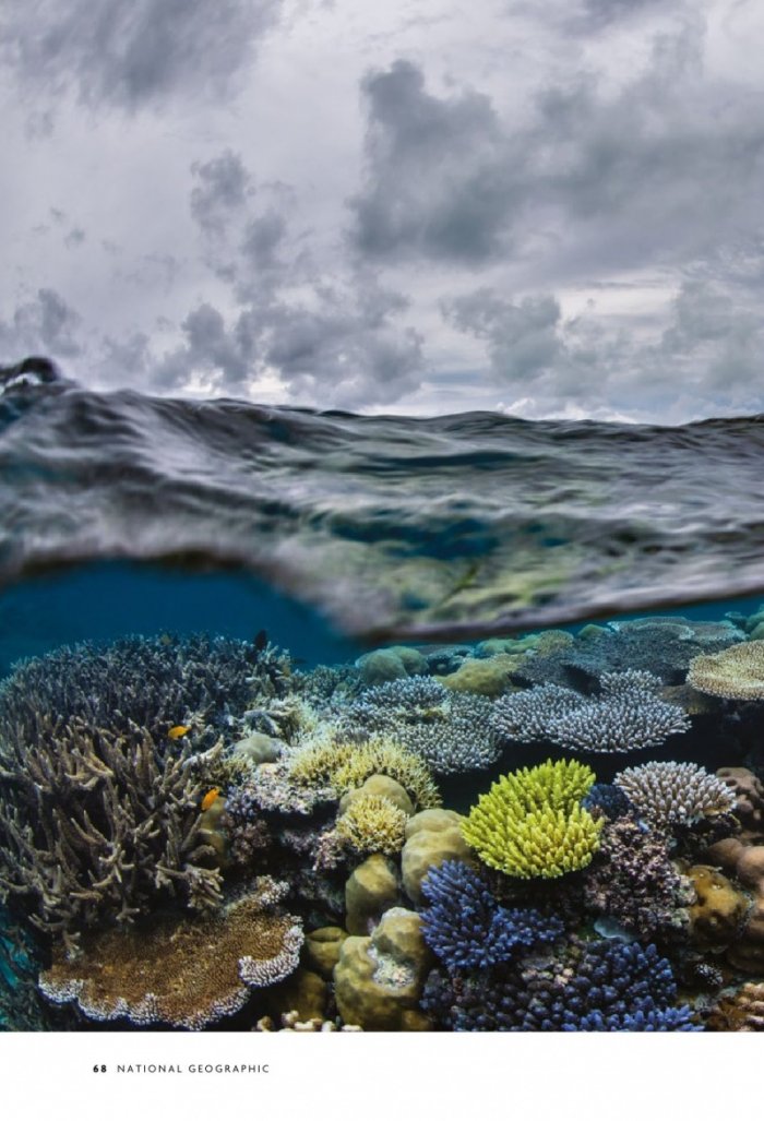 National Geographic България 11/2020