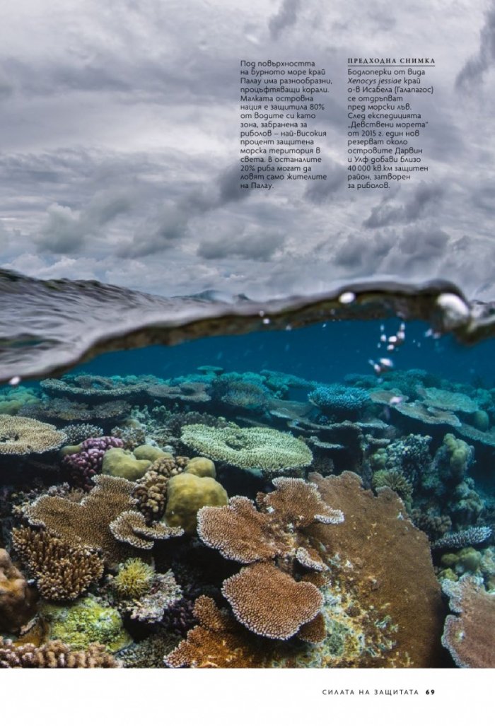 National Geographic България 11/2020