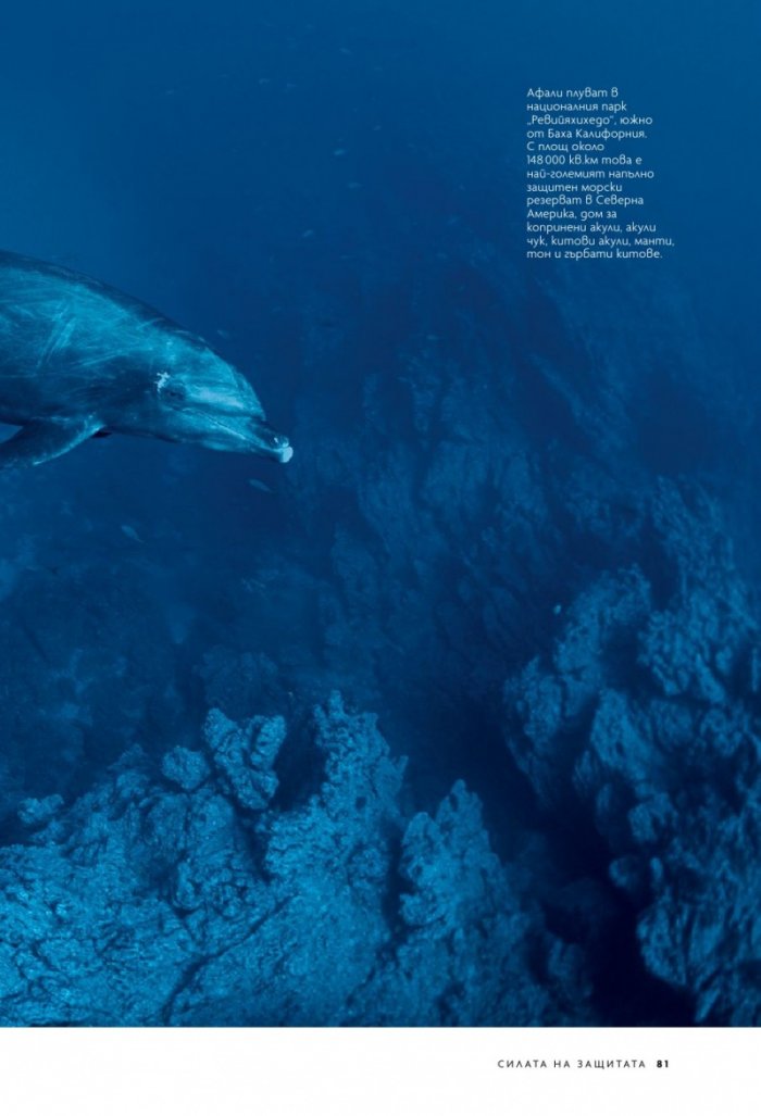 National Geographic България 11/2020