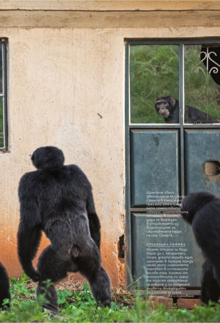 National Geographic България 11/2020